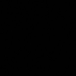 Meet your Posher, Perla